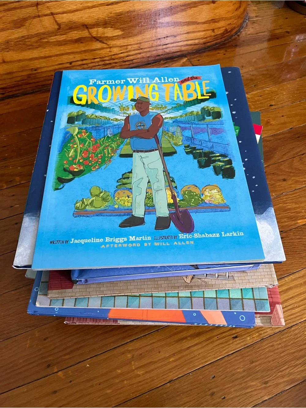 15 mystery books $85 value